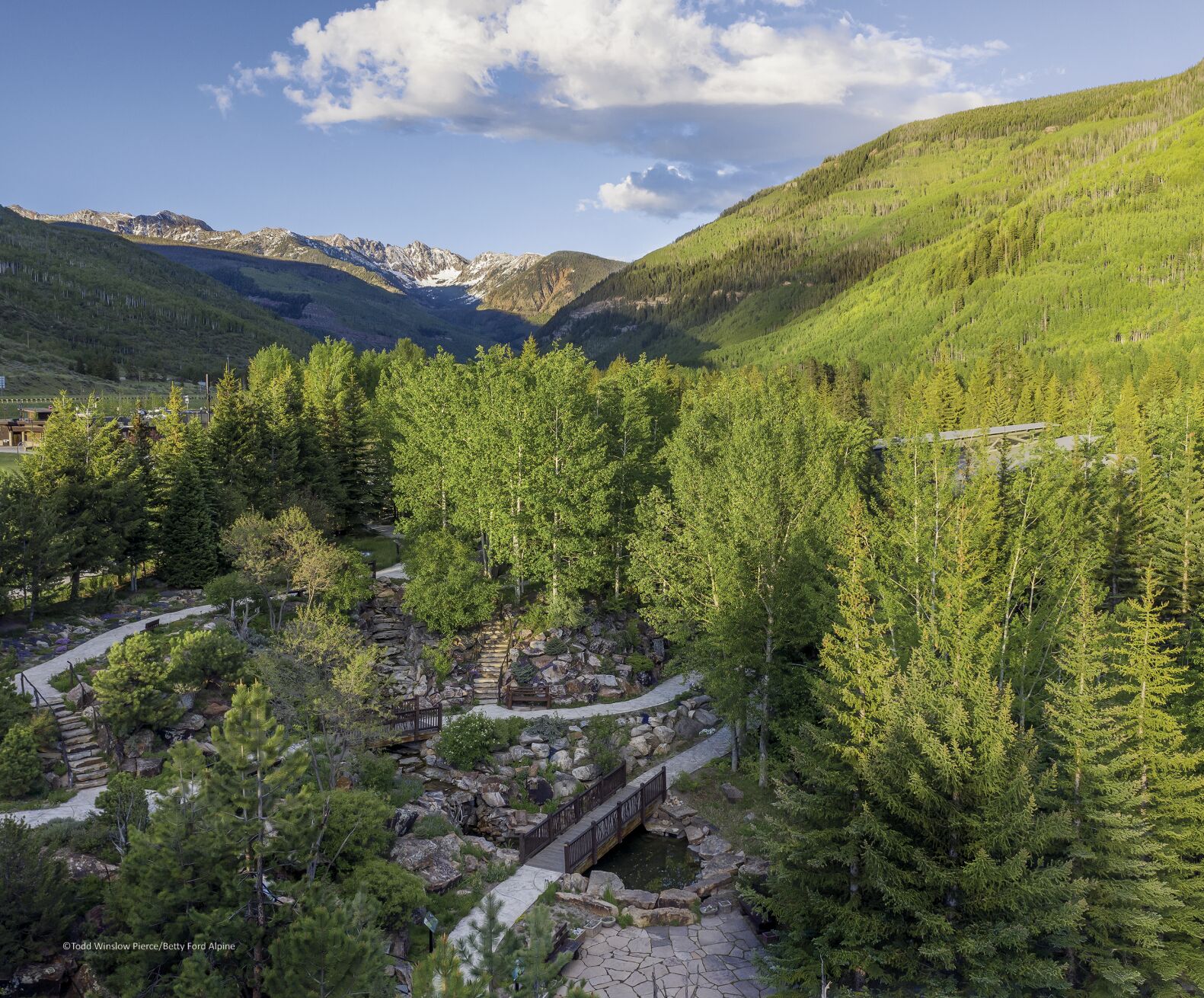 alpine gardens 2.jpg